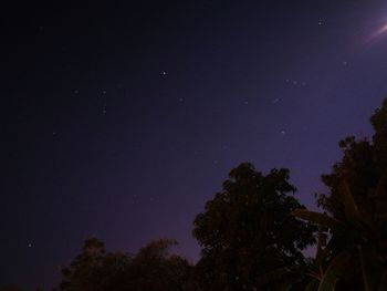 Low angle view of silhouette trees against sky at night