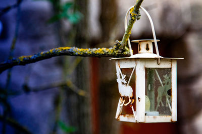 Close-up of birdhouse hanging on tree
