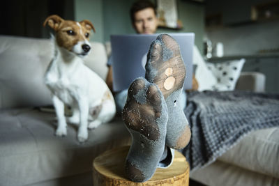 Man with leaky socks resting on sofa near dog, using laptop