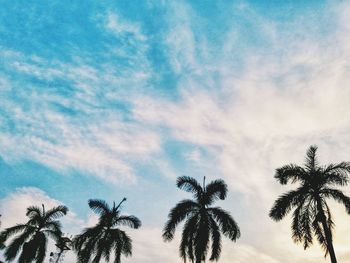 Low angle view of palm trees against blue sky