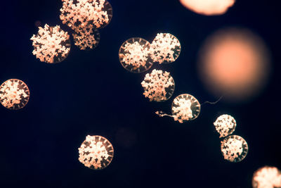 Close-up of illuminated lighting equipment against black background