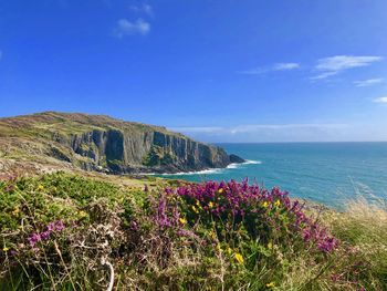 Scenic view of sea against blue sky