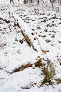 High angle view of snow covered field