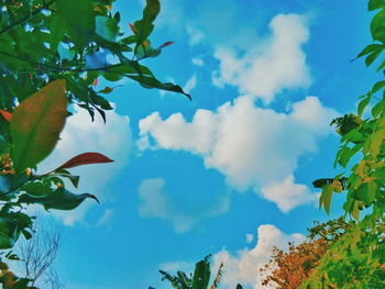 Low angle view of leaves against sky