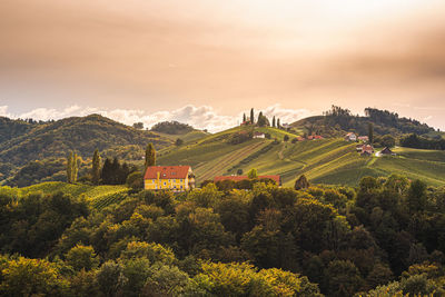Styrian tuscany vineyard in autumn near eckberg, gamliz, styria, austria.