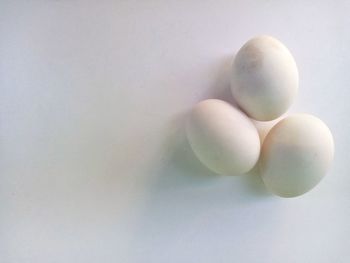 Close-up of eggs against white background