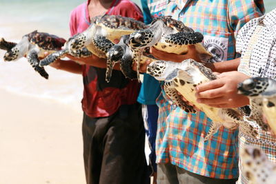 Midsection of children holding turtles