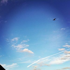 Low angle view of birds flying against blue sky