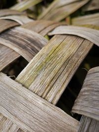 Full frame shot of wood