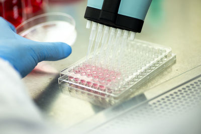 Cropped hand of scientist working in laboratory