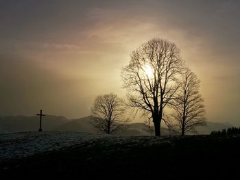 Silhouette bare tree on field against sky during sunset