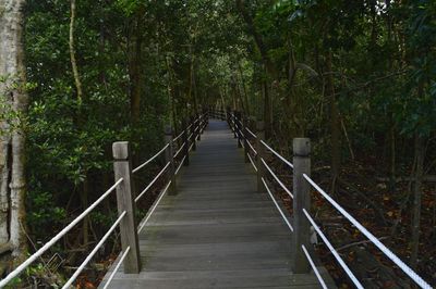 Footbridge amidst trees in forest