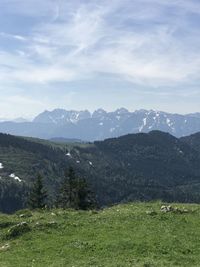 Scenic view of landscape against sky