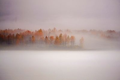 A foggy autumn morning in valdez, alaska 