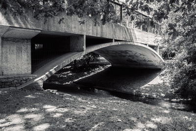 Arch bridge over river in forest