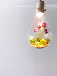 Close-up of flower in a light bulb