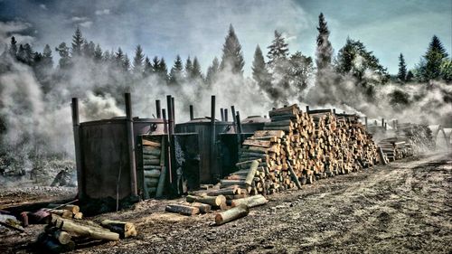 Close-up of firewood