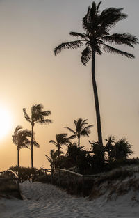 Silhouette palm trees by swimming pool against sky during sunset