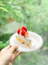 Cropped hand of woman holding dessert