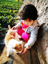 High angle view of girl playing with cat by field