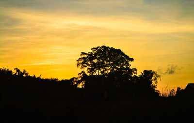 Silhouette trees against sky during sunset