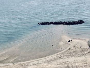 Aereal view of a beach