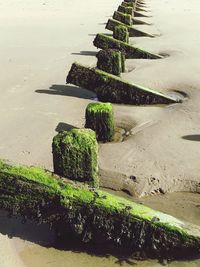 High angle view of tree by sea against sky