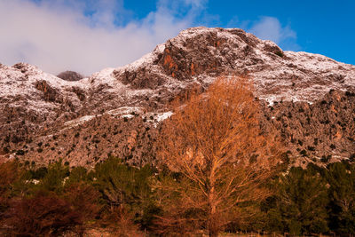 Low angle view of mountain against sky