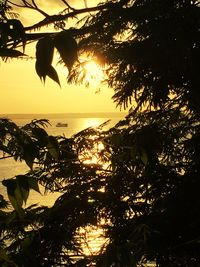 Silhouette tree by sea against sky during sunset