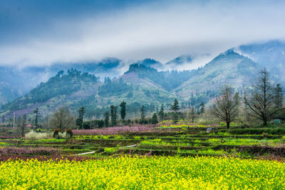 Scenic view of field and mountains against sky