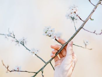 Close-up of woman holding flower