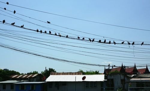 Low angle view of cables against sky
