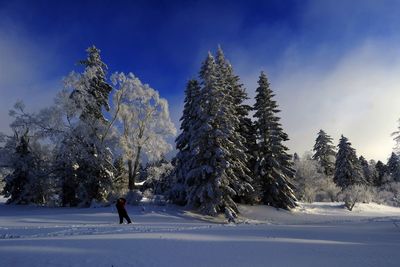 Scenic view of snow covered landscape