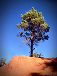 Tree on landscape against clear blue sky