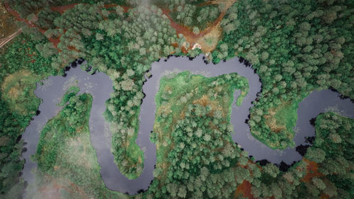 High angle view of trees by sea