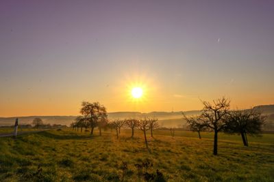 Scenic view of field against sky during sunset