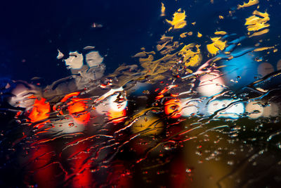 Close-up of fish swimming in water