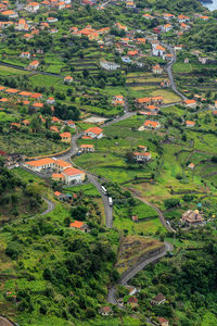 High angle view of agricultural field