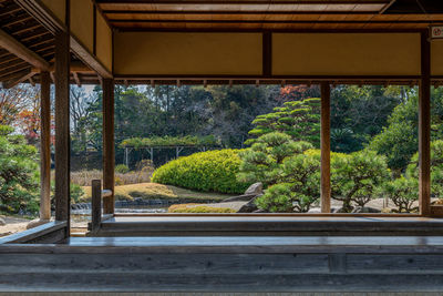 Trees and plants in building seen through window