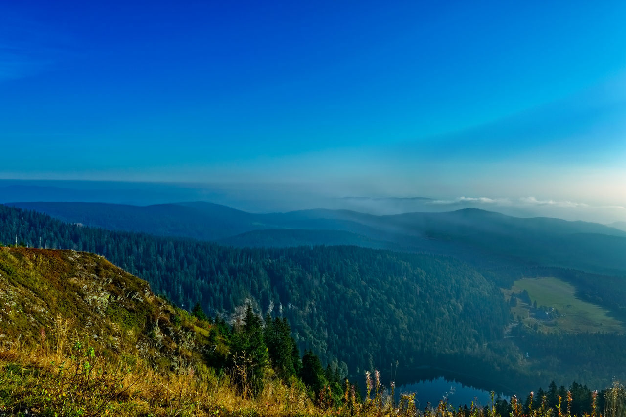 scenics - nature, beauty in nature, sky, tranquil scene, tranquility, mountain, blue, tree, environment, plant, landscape, non-urban scene, nature, idyllic, no people, day, mountain range, remote, cloud - sky, copy space, outdoors