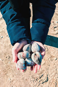 High angle view of man holding hands on sand