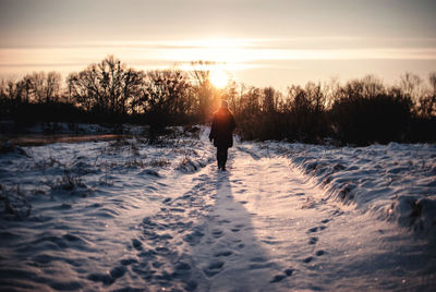 Man walking on snow covered trees during sunset