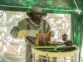 Rear view of man working in greenhouse