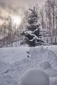 Snow covered landscape