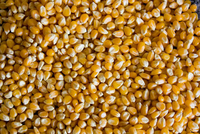 Full frame shot of corn