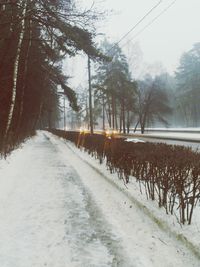 Road passing through field