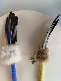 High angle view of feather on table against wall