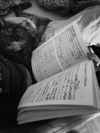 Portrait of cat on book