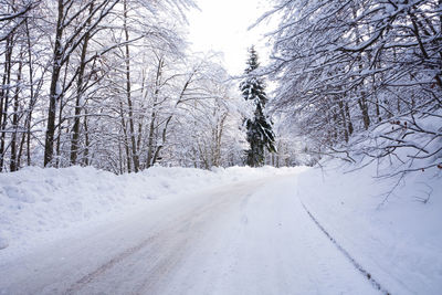 Snow covered road amidst trees during winter