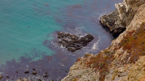 High angle view of rocks on beach